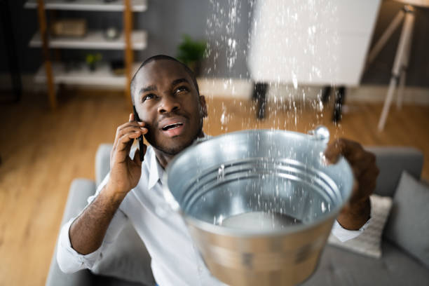 Best Sewage cleanup and water damage restoration  in Taylors, SC