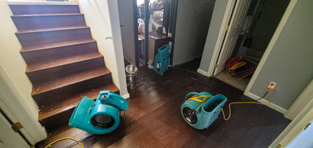 Best Water damage restoration near me  in Taylors, SC