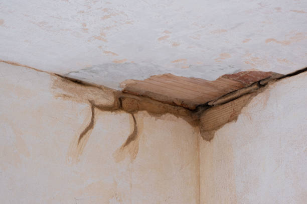 Best Water damage cleanup near me  in Taylors, SC