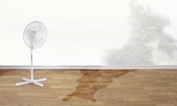 Best Flooded house restoration  in Taylors, SC
