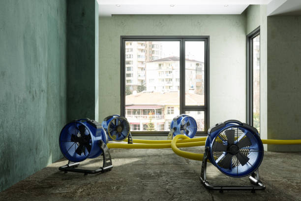 Best Water damage restoration near me  in Taylors, SC